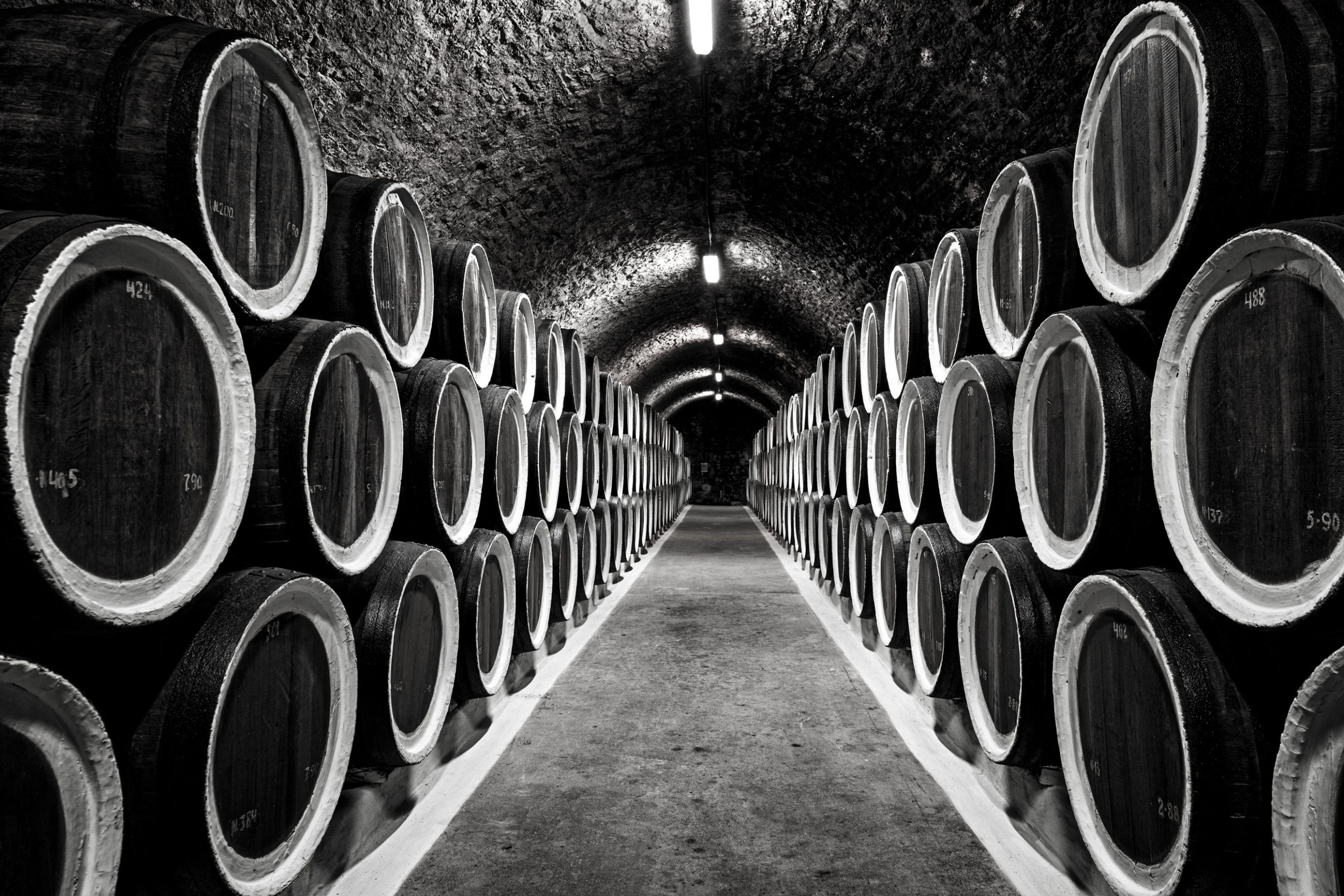 warehoused-barrels-in-the-wine-cellar-2021-08-26-17-37-38-utc