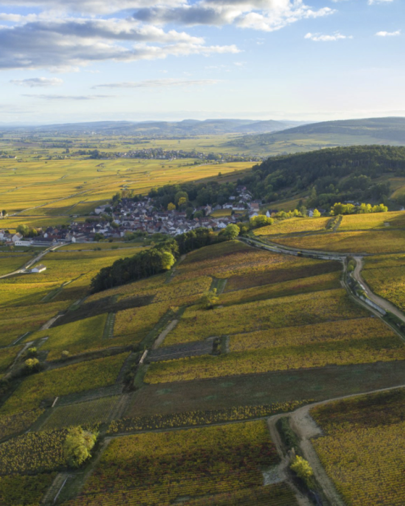 genussmensch_web_storybilder_sparkling-bootle_cremant