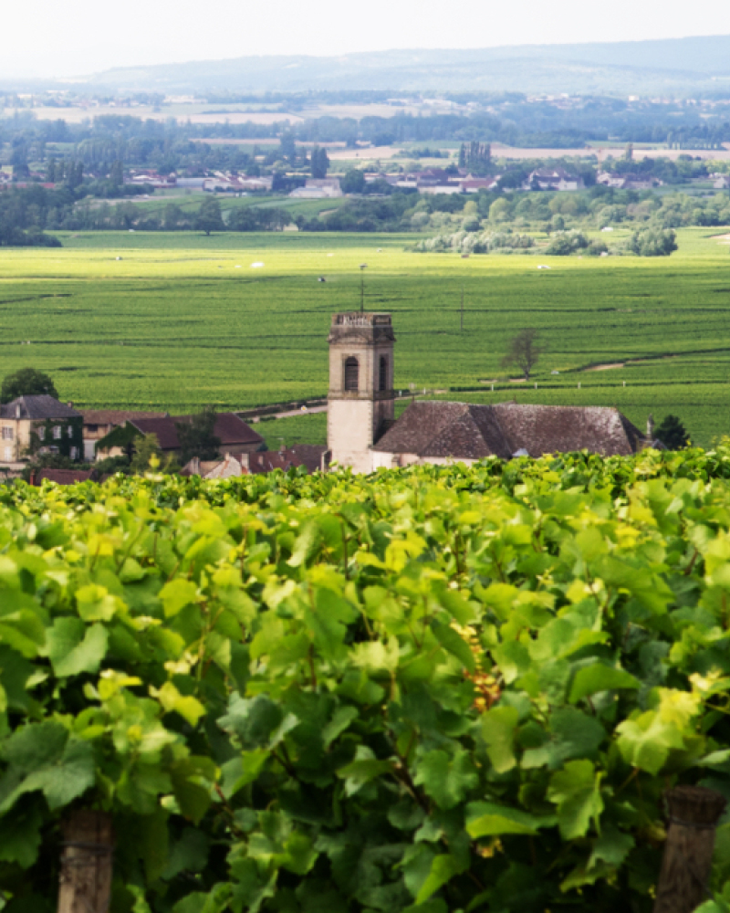 genussmensch_web_storybilder_sparkling-bootle_cremant2