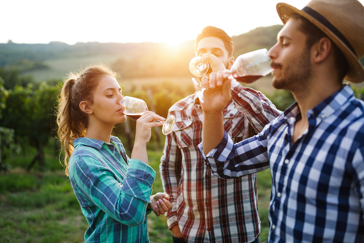 wine-growers-tasting-wine-in-vineyard-2021-08-26-17-32-06-utcsmall