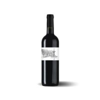 Bild von AOC Saint Emilion Grand Cru | Louisette 2020